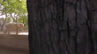 preview clip thumb