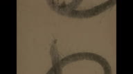 preview clip thumb