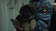preview clip thumb