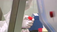 preview clip thumb